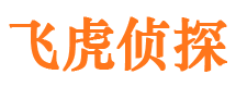 潼南市调查公司